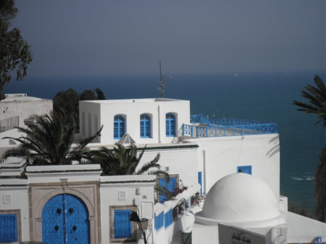 tunisia2010tuniscathagesidibousaidsousseelkantaoi84.jpg